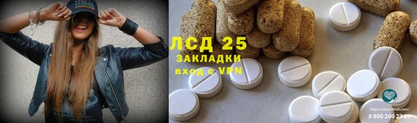 шишки Богданович