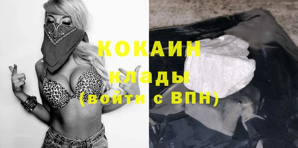 шишки Богданович