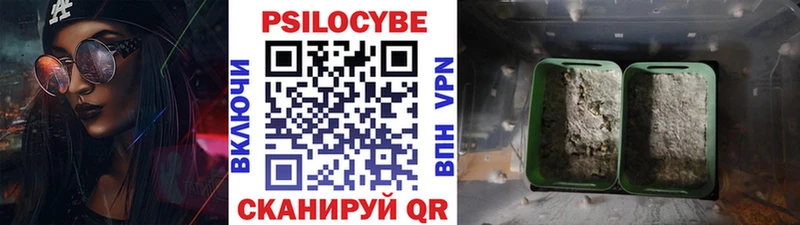 Галлюциногенные грибы Psilocybine cubensis  где найти наркотики  Уфа 